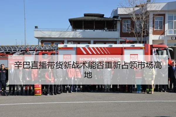 辛巴直播带货新战术能否重新占领市场高地